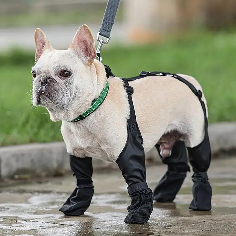 Anti-Dirty Dog Boots Dogs Puppy Outgoing Waterproof Snow Boot Shoes Pet Pants For Outdoor Walking In Winter Rain And Snow
